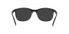 RB4374 Sunglasses