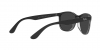 RB4374 Sunglasses