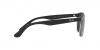 RB4374 Sunglasses