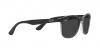 RB4374 Sunglasses