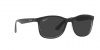 RB4374 Sunglasses