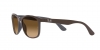 RB4374 Sunglasses
