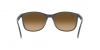 RB4374 Sunglasses