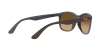 RB4374 Sunglasses