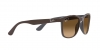 RB4374 Sunglasses