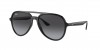 RB4376 Sunglasses