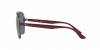 RB4376 Sunglasses
