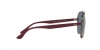 RB4376 Sunglasses