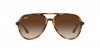 RB4376 Sunglasses