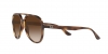 RB4376 Sunglasses
