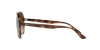 RB4376 Sunglasses