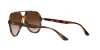 RB4376 Sunglasses