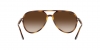 RB4376 Sunglasses