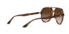 RB4376 Sunglasses