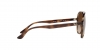 RB4376 Sunglasses