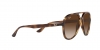 RB4376 Sunglasses