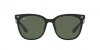 RB4379D Sunglasses