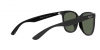 RB4379D Sunglasses