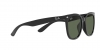 RB4379D Sunglasses