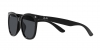 RB4379D Sunglasses