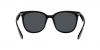RB4379D Sunglasses
