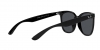RB4379D Sunglasses