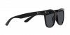 RB4379D Sunglasses