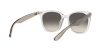 RB4379D Sunglasses