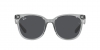 RB4379D Sunglasses