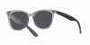 RB4379D Sunglasses