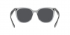 RB4379D Sunglasses
