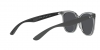 RB4379D Sunglasses
