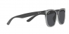 RB4379D Sunglasses
