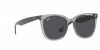 RB4379D Sunglasses
