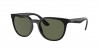 RB4381I Sunglasses