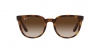 RB4379D Sunglasses