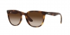 RB4379D Sunglasses