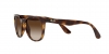 RB4379D Sunglasses
