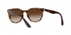 RB4379D Sunglasses