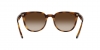 RB4379D Sunglasses