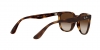 RB4379D Sunglasses
