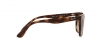 RB4379D Sunglasses