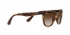 RB4379D Sunglasses