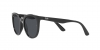 RB4381I Sunglasses