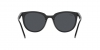 RB4381I Sunglasses