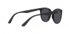 RB4381I Sunglasses