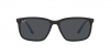 RB4384L Sunglasses