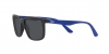 RB4384L Sunglasses