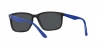 RB4384L Sunglasses