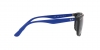 RB4384L Sunglasses